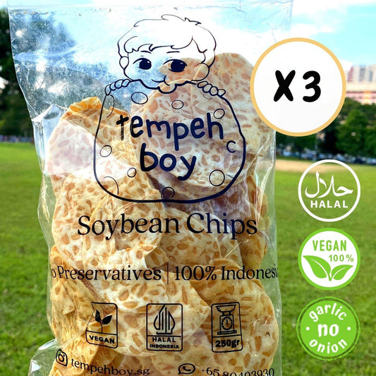Signature Tempeh Boy Tempeh Chips (3 x 250g) - tempehboy
