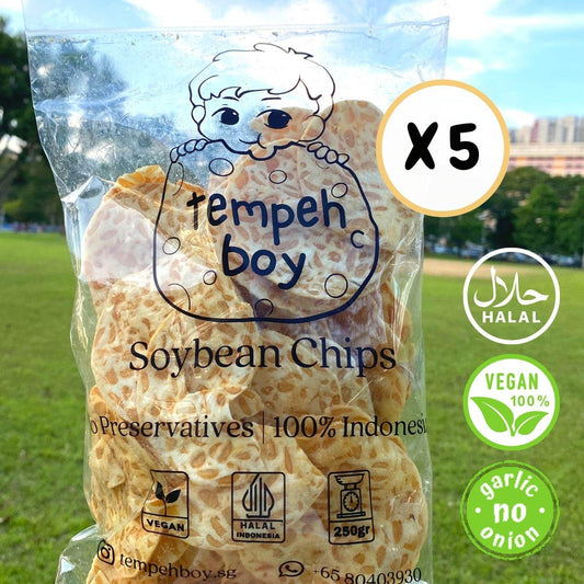 Tempeh Chips Bundle (5 x 250g) - 🚚 Free Shipping 📦 - tempehboy