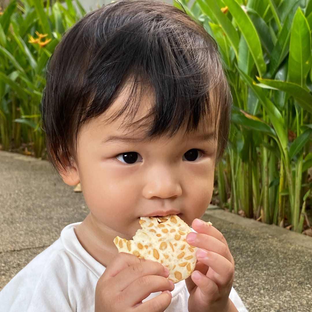 The Tempeh Boy - tempehboy