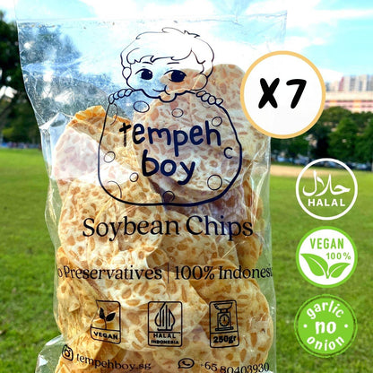 Tempeh Chips Bundle (7 x 250g) - 🚚 Free Shipping 📦 - tempehboy