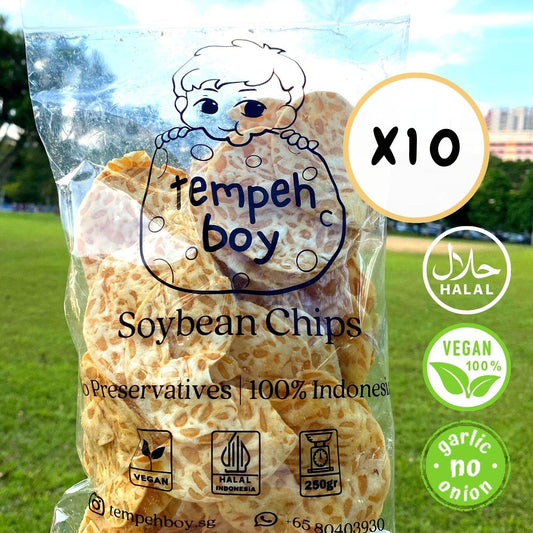 Tempeh Chips Bundle (10 x 250g) - 🚚 Free Shipping 📦