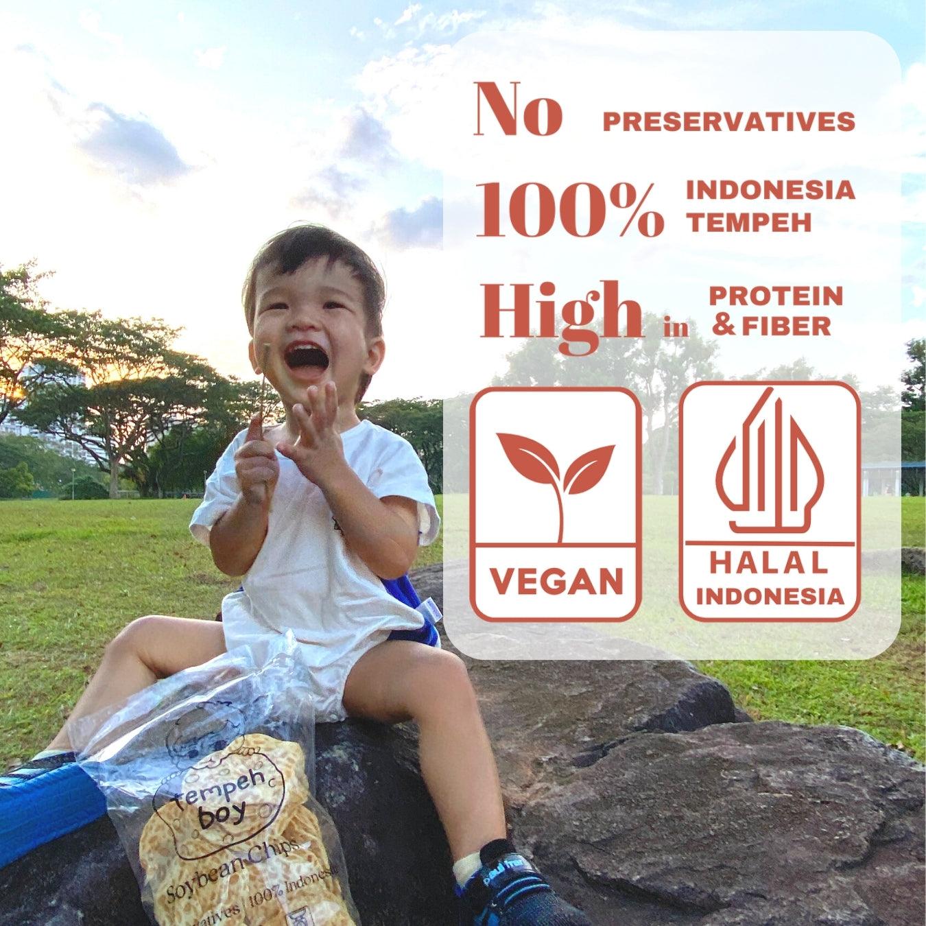 Tempeh Chips No Preservatives High in Protein and fiber halal certificated